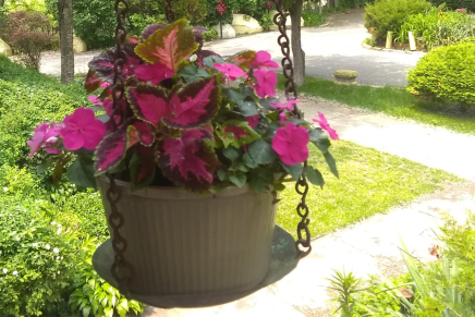 Blog: Who’s ready for Spring&nbsp;gardening?